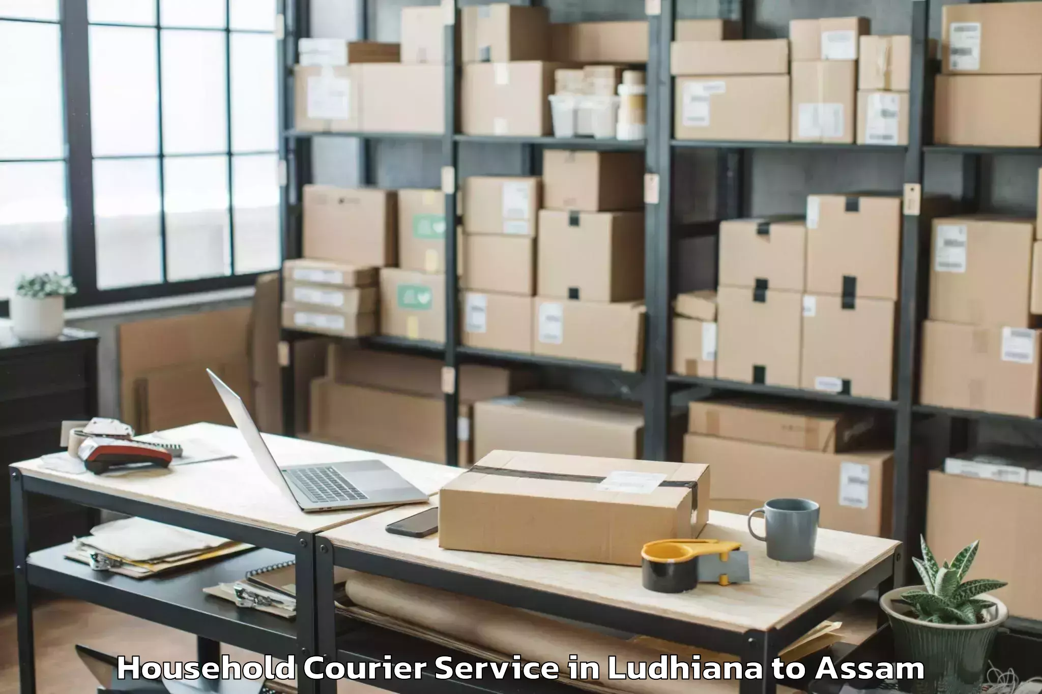 Get Ludhiana to Mangaldoi Household Courier